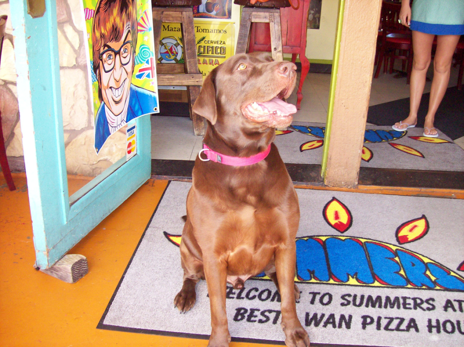 The Besta-wan Pizza House 7
