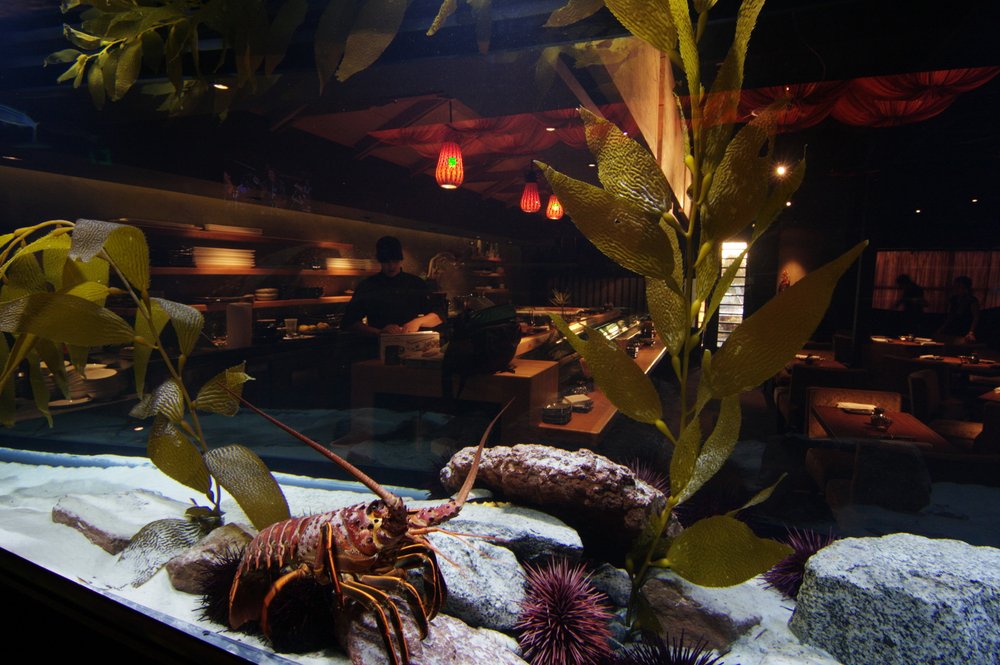 Zenbu Sushi Bar 3